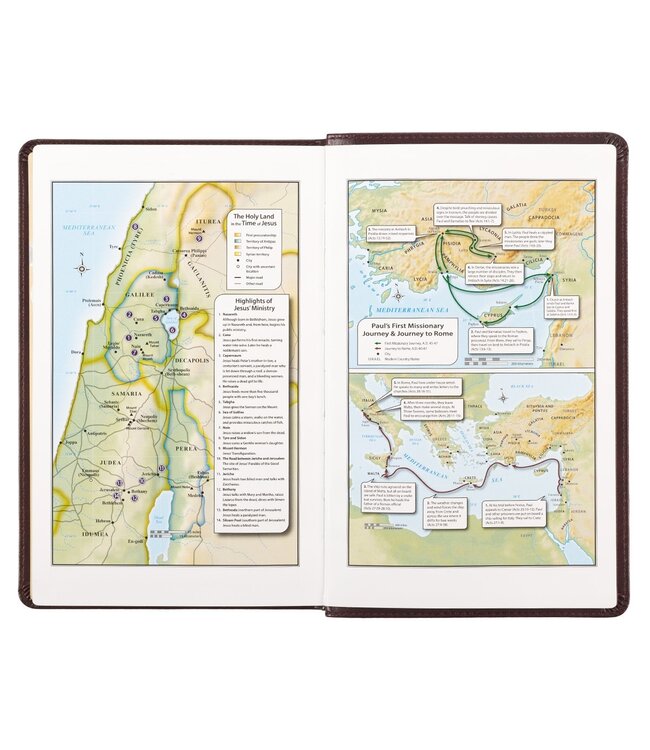 Dark Brown Faux Leather King James Version Deluxe Gift Bible with Thumb Index