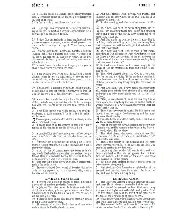 Biblia Bilingüe RVR 1960-NKJV, Enc. Dura (RVR 1960-NKJV Bilingual Bible, Hardcover)