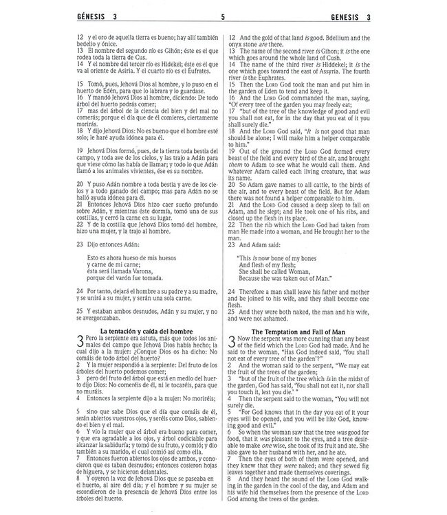 Biblia Bilingüe RVR 1960-NKJV, Enc. Dura (RVR 1960-NKJV Bilingual Bible, Hardcover)