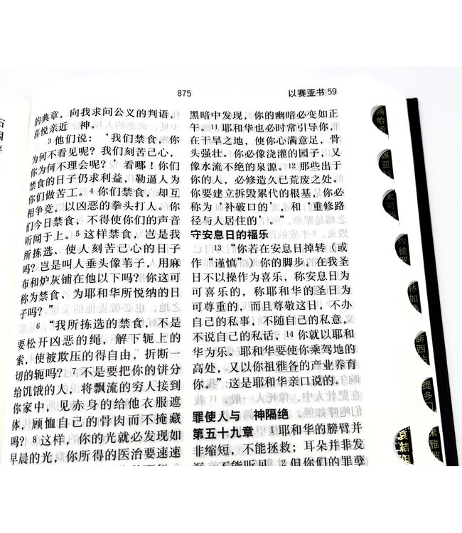 圣经．和合本．特大字版．黑色精装索引（简体）