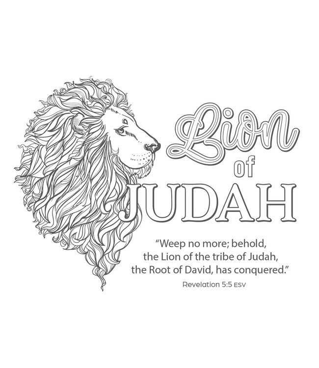 Coloring the Names of Jesus Boxed Cards | 耶穌名字——盒裝填色卡