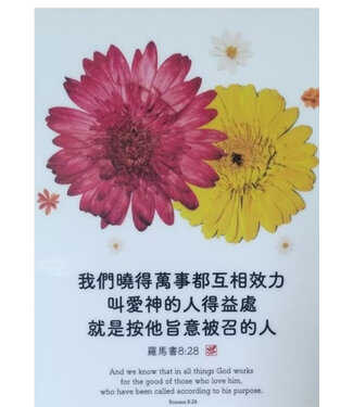 信望愛書房 Faith Hope Love Bookstore 經文牌飾品 C2054 我們