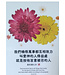 經文牌飾品 C2054 我們
