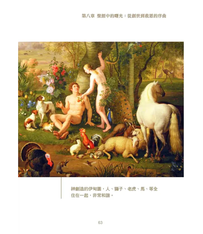 看見曙光：尋找真光，引領生命的智慧之書