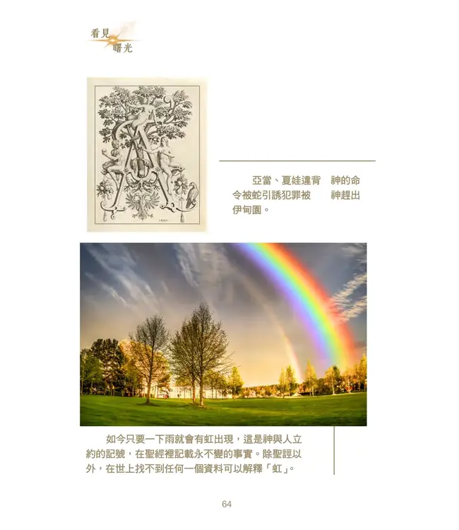 看見曙光：尋找真光，引領生命的智慧之書