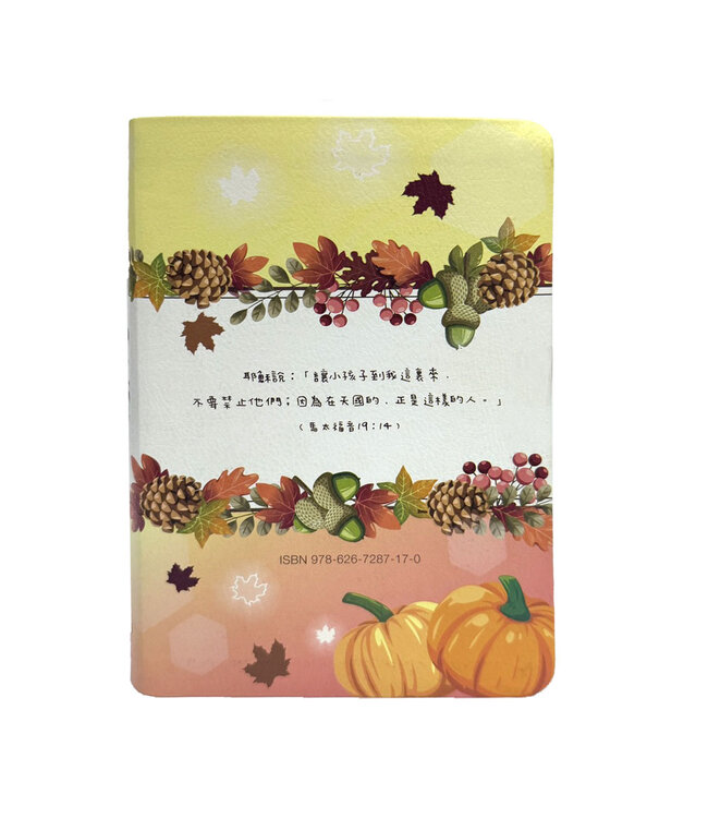 聖經：和合本．5系列．彩繪皮面索引（孩童款）