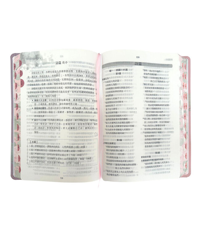 聖經．當代譯本．7系列．彩繪皮面索引（清新粉）