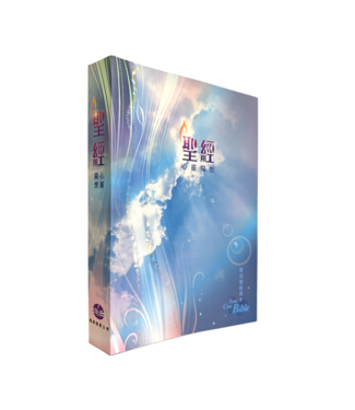 環球聖經公會 The Worldwide Bible Society 心靈關懷聖經．環球聖經譯本．加大裝．彩色平裝白邊．繁體