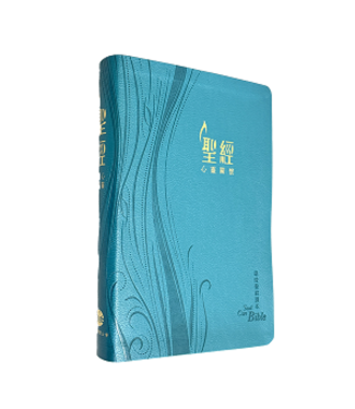 環球聖經公會 The Worldwide Bible Society 心靈關懷聖經．環球聖經譯本．加大裝．藍色儷皮燙金金邊．繁體