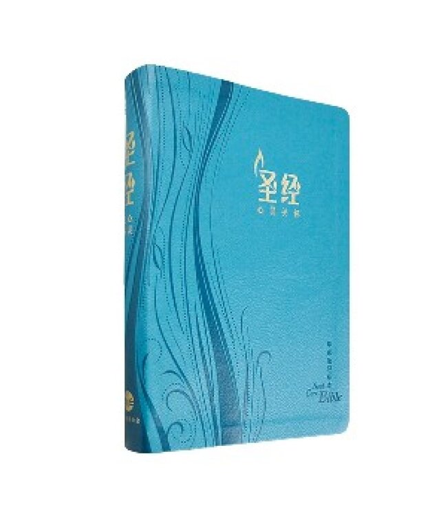 心灵关怀圣经．环球圣经译本．加大装．蓝色俪皮烫金金边．简体 | WCB Soul Care Bible (Simplified Character/Shen Edition)