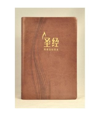 環球聖經公會 The Worldwide Bible Society 圣经． 环球圣经译本． 经文版． 啡色俪皮金边（简体）