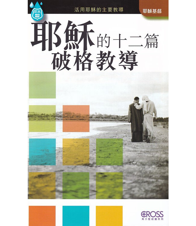 高示聖經圖表冊：耶穌的十二篇破格教導 | 12 Radical Teachings of Jesus