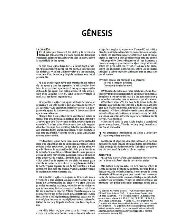 NVI Santa Biblia Edicion Economica, Texto Revisado 2022, Tapa Rustica