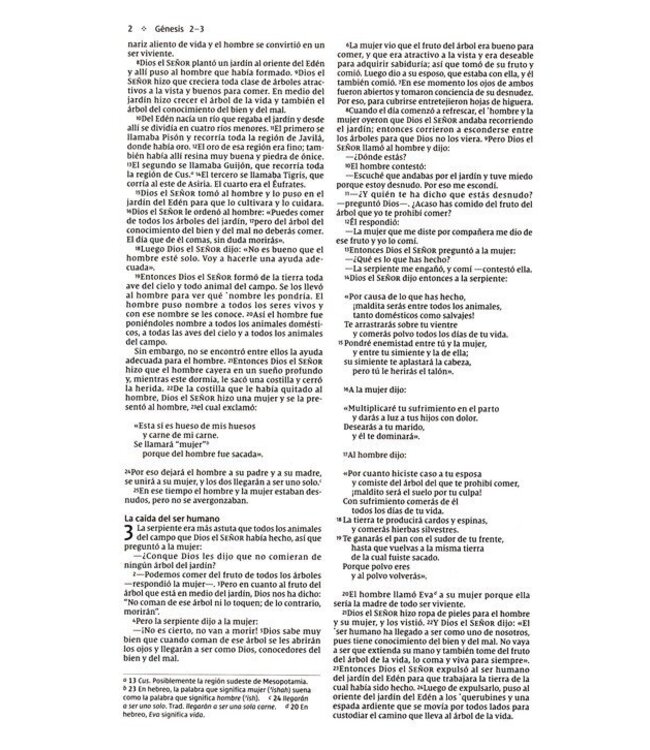 NVI Santa Biblia Edicion Economica, Texto Revisado 2022, Tapa Rustica