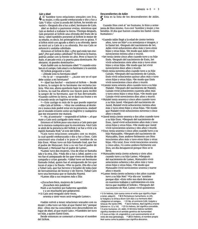 NVI Santa Biblia Edicion Economica, Texto Revisado 2022, Tapa Rustica