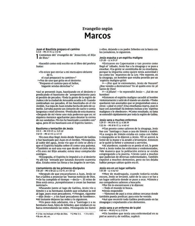 NVI Santa Biblia Edicion Economica, Texto Revisado 2022, Tapa Rustica