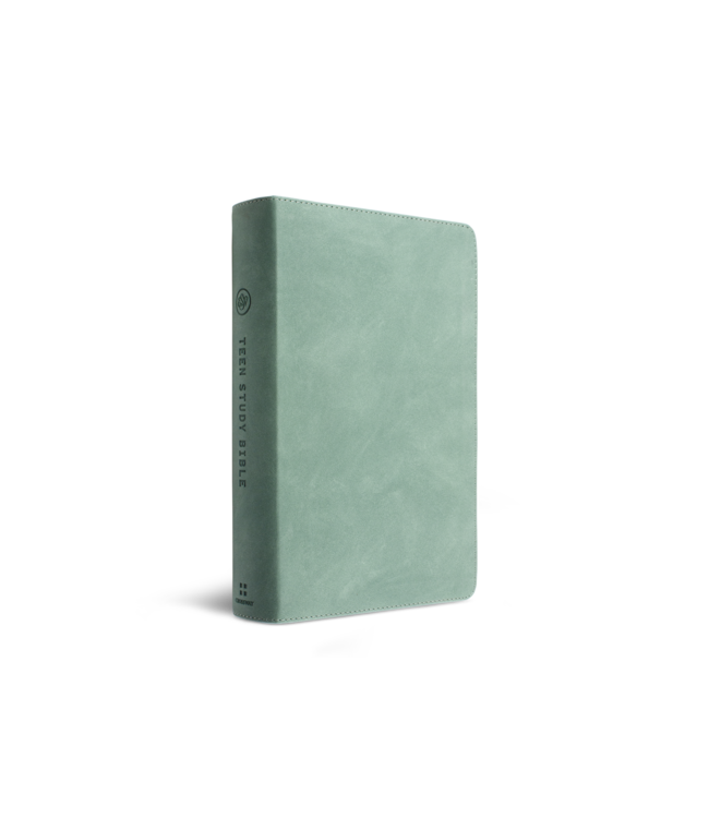 ESV Teen Study Bible TruTone®, Seaside Blue