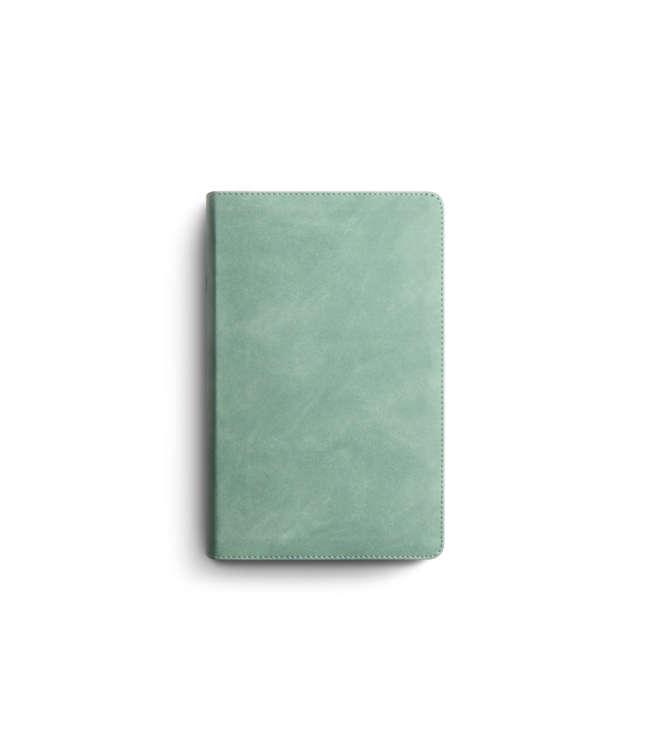 ESV Teen Study Bible TruTone®, Seaside Blue
