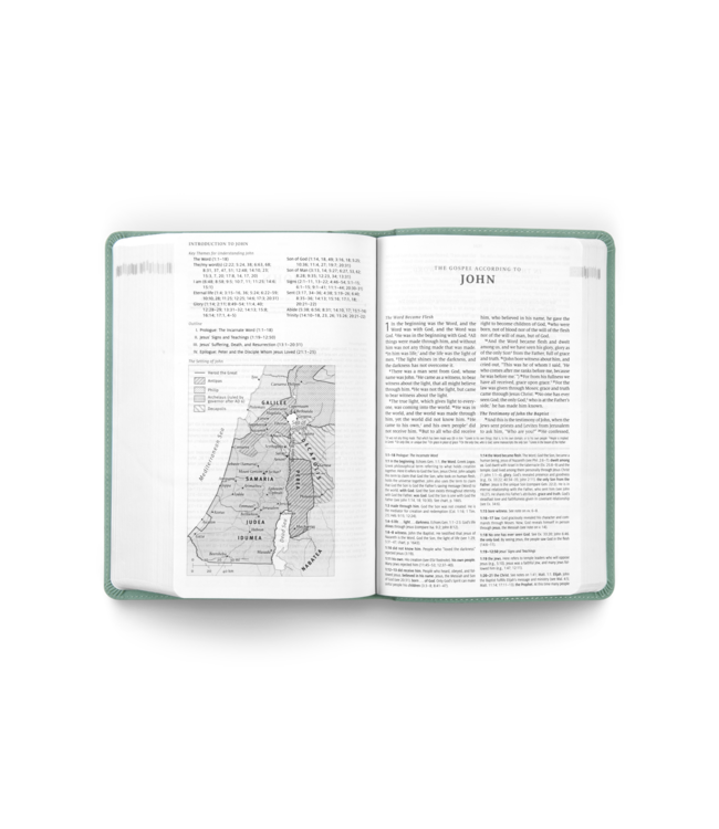 ESV Teen Study Bible TruTone®, Seaside Blue