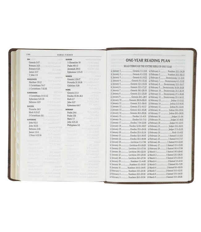 Brown Crown of Thorns Giant Print Full-size King James Version Bible with Thumb Index