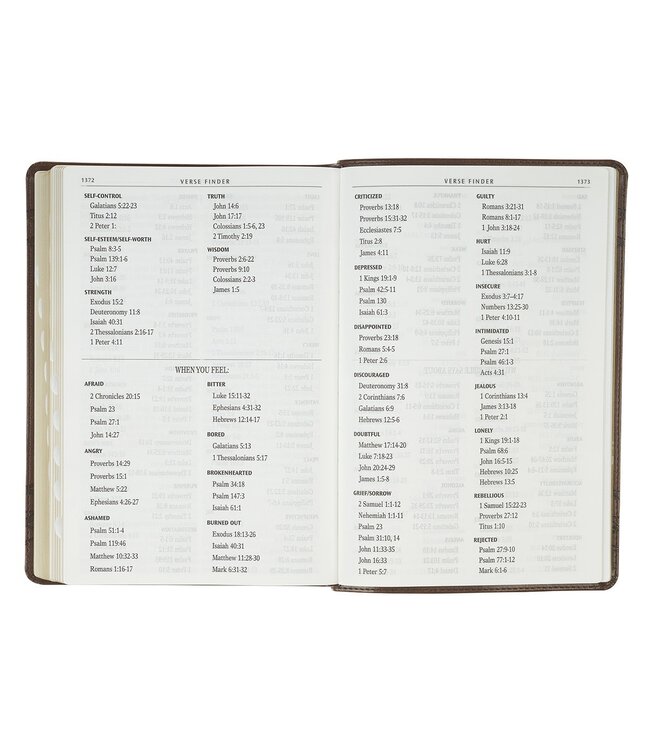 Brown Crown of Thorns Giant Print Full-size King James Version Bible with Thumb Index