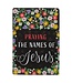 Praying the Names of Jesus Box of Blessings | 祝福金句卡