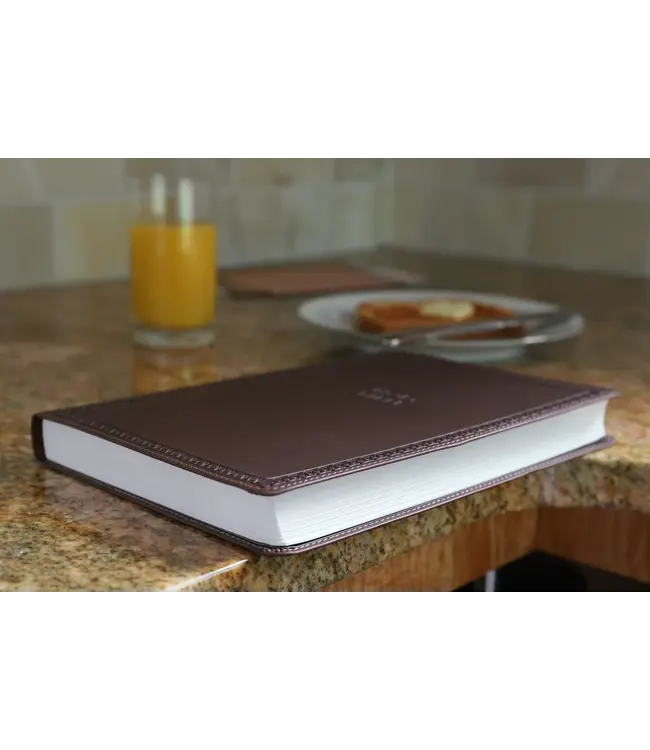 NIV Value Thinline Bible/Large Print (Comfort Print)-Chocolate Leathersoft