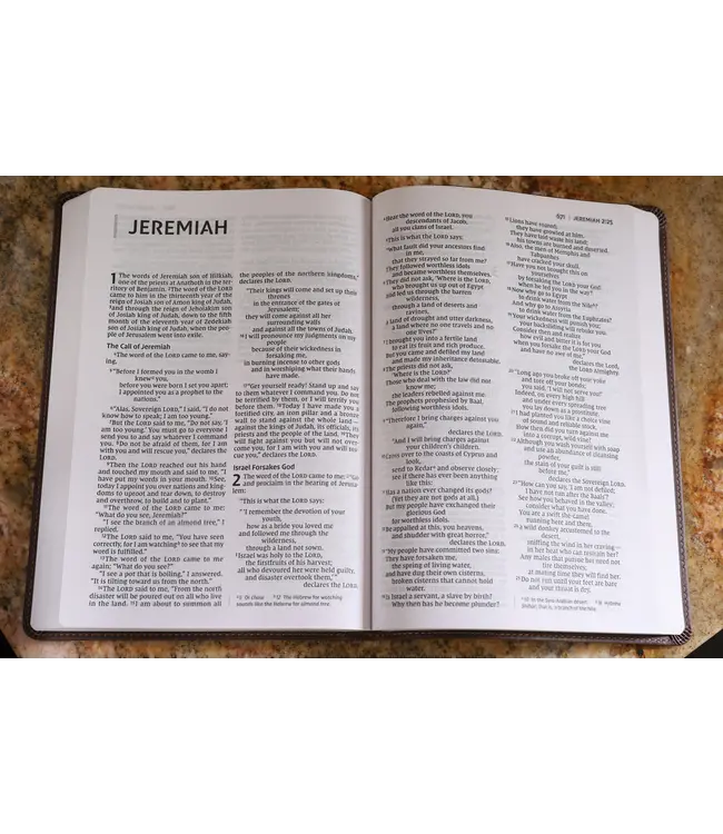 NIV Value Thinline Bible/Large Print (Comfort Print)-Chocolate Leathersoft