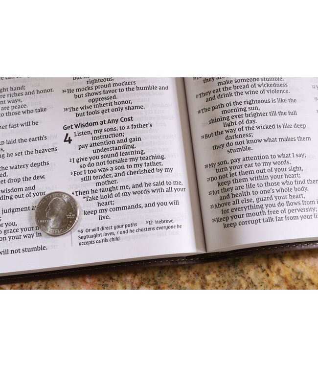 NIV Value Thinline Bible/Large Print (Comfort Print)-Chocolate Leathersoft