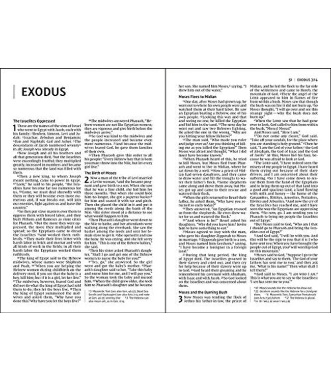 NIV Value Thinline Bible/Large Print (Comfort Print)-Chocolate Leathersoft