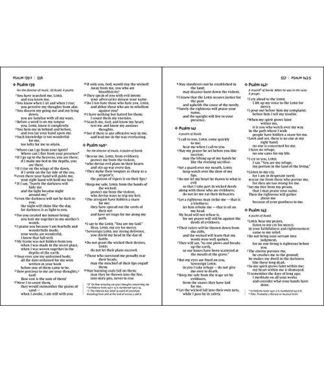 NIV Value Thinline Bible/Large Print (Comfort Print)-Chocolate Leathersoft