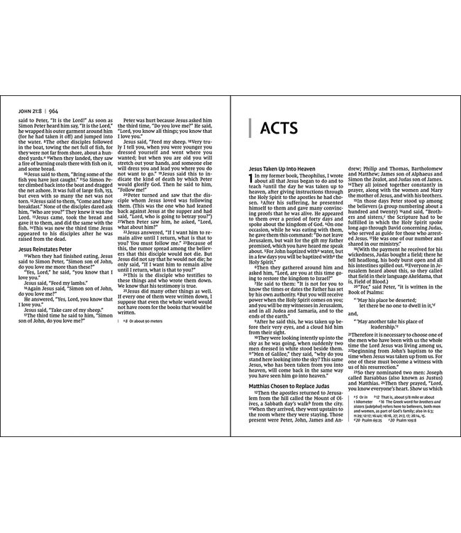 NIV Value Thinline Bible/Large Print (Comfort Print)-Chocolate Leathersoft