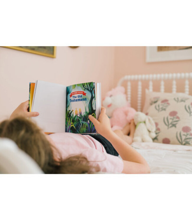 God's Big Promises Bible Storybook