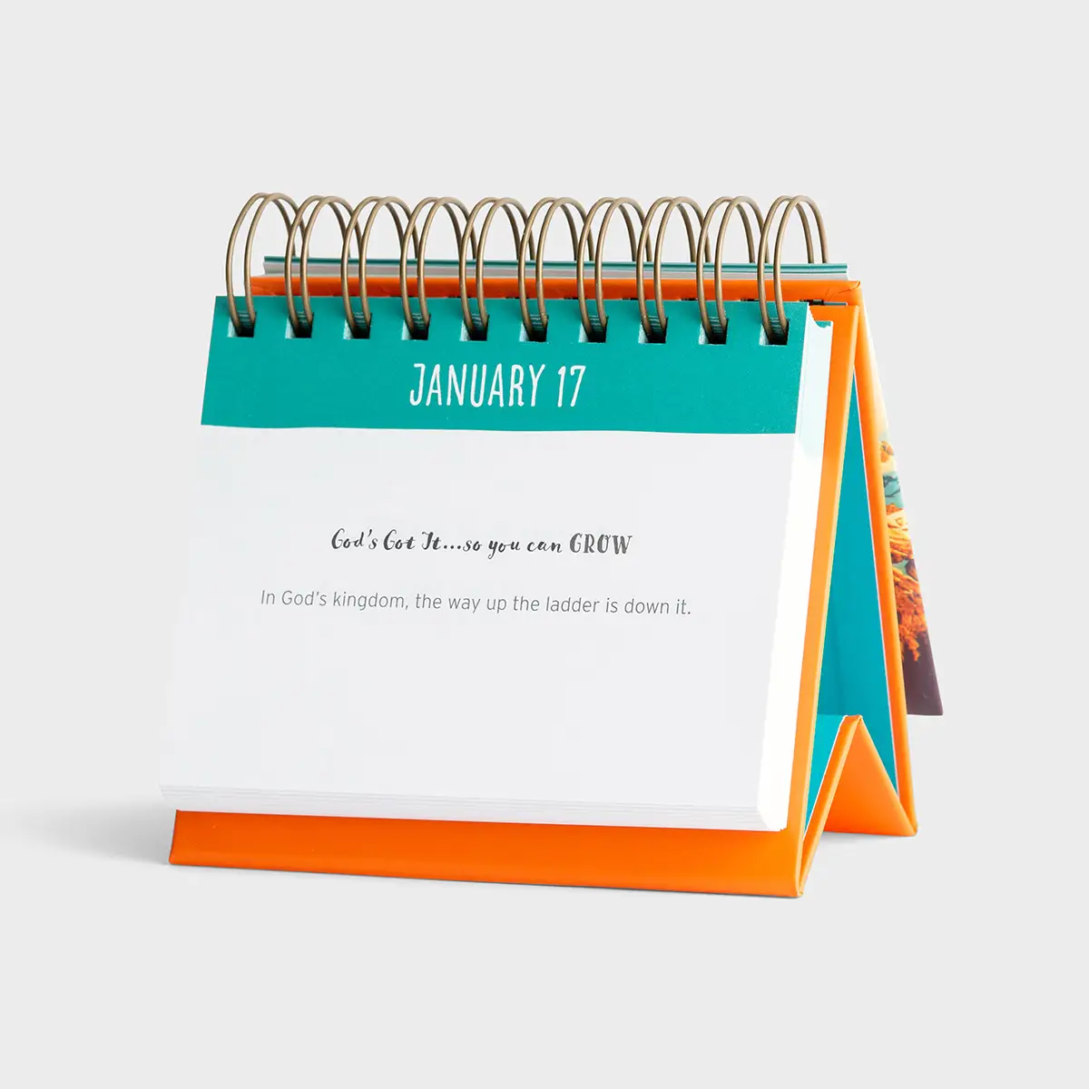 CR GIBSON Calander Fitlosophy Fitdesk Calendrier Perpétuel 365 Jours Pour Une Inspiration Quotidienne Du Fitness, Varié, 13,3 X 16,5 X 3,2 Cm - View #3