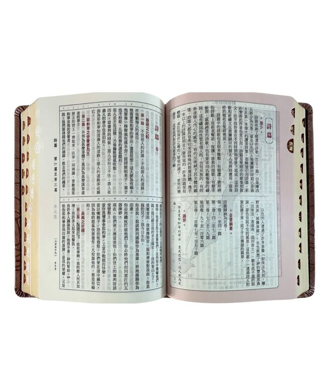 聖經．和合本．5系列．皮面索引（霧紫金）