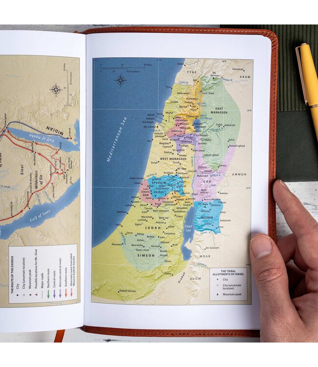 NASB Personal Size Giant Print Bible, Burnt Sienna LeatherTouch