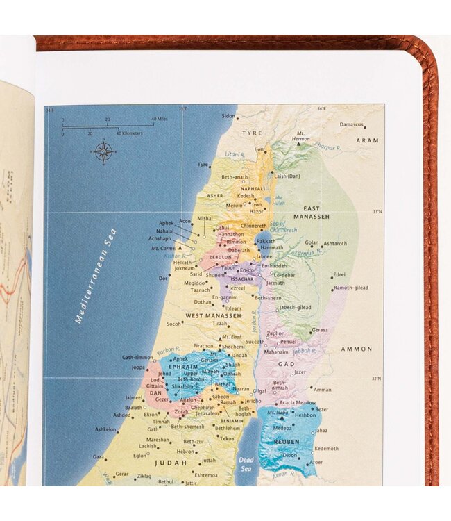 NASB Large Print Compact Reference Bible, Burnt Sienna LeatherTouch