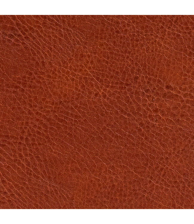 NASB Large Print Compact Reference Bible, Burnt Sienna LeatherTouch