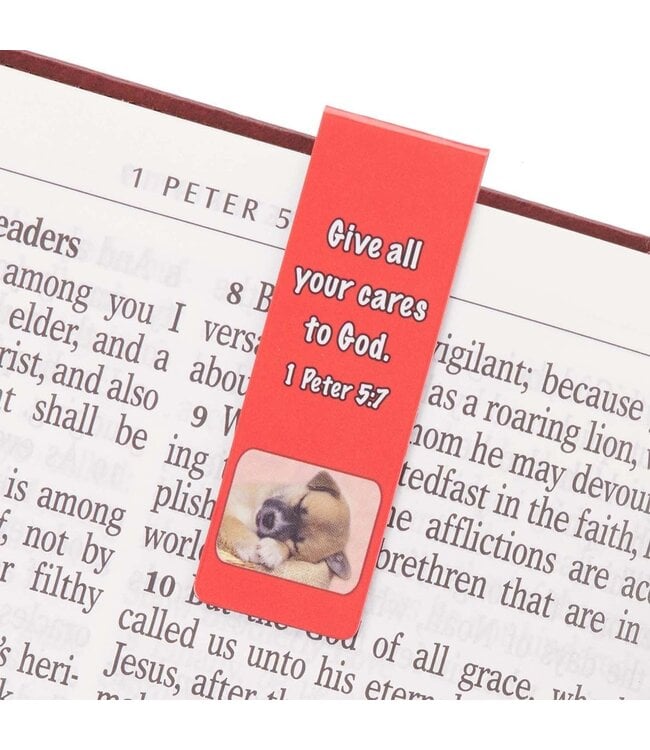 Special Treasure Magnetic Bookmark Set = Deuteronomy 14:2 | 磁性書籤套組