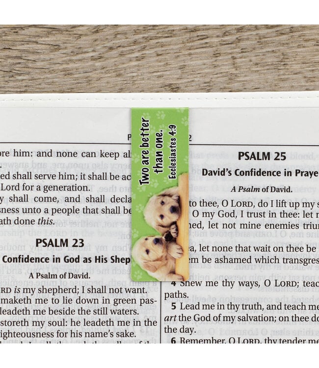 Special Treasure Magnetic Bookmark Set = Deuteronomy 14:2 | 磁性書籤套組