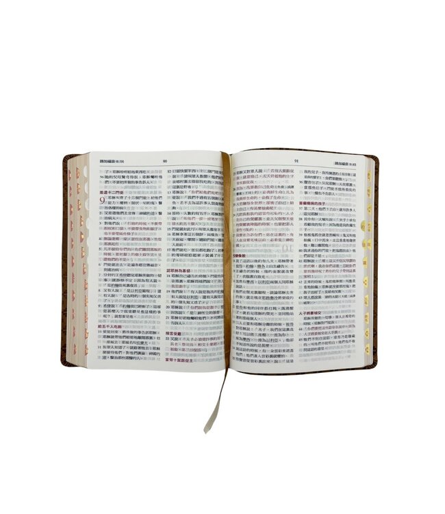 聖經．和合本．紅字橫排．皮面索引．褐金