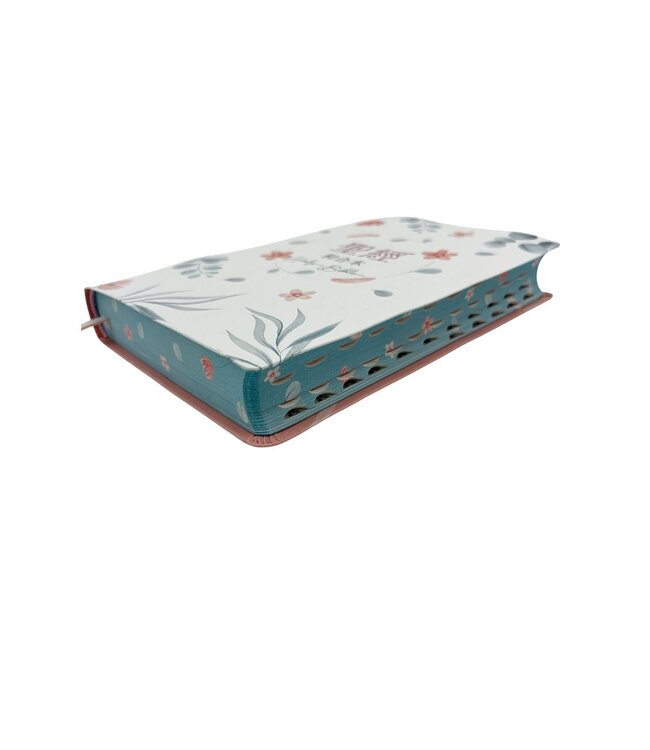 聖經．和合本．紅字橫排．彩繪皮面索引．粉橘