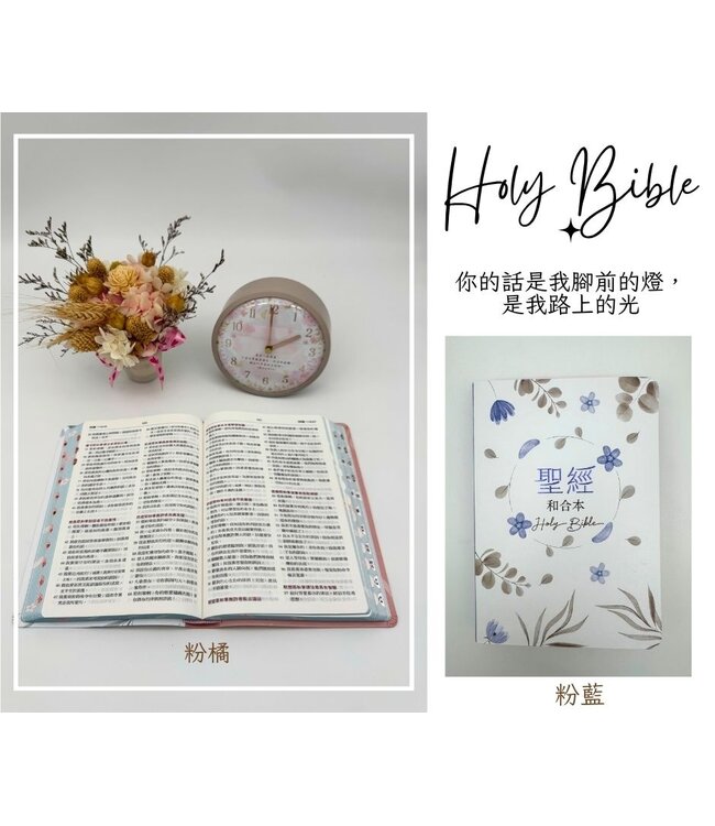 聖經．和合本．紅字橫排．彩繪皮面索引．粉藍