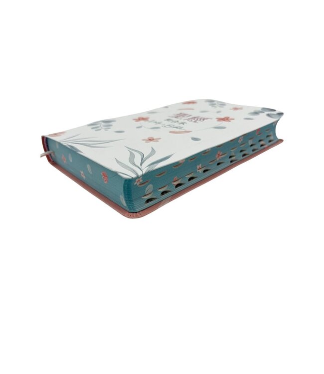 聖經．和合本．紅字橫排．彩繪皮面索引．粉藍