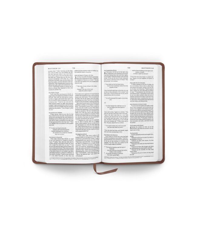 ESV Premium Church Bible (TruTone, Brown)