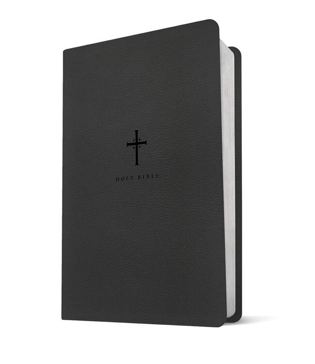 NLT Premium Value Thinline Bible, Large Print, Filament-Enabled--soft leather-look, black