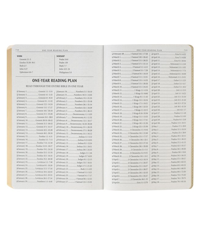 Chestnut Brown Faux Leather King James Version Gift Bible