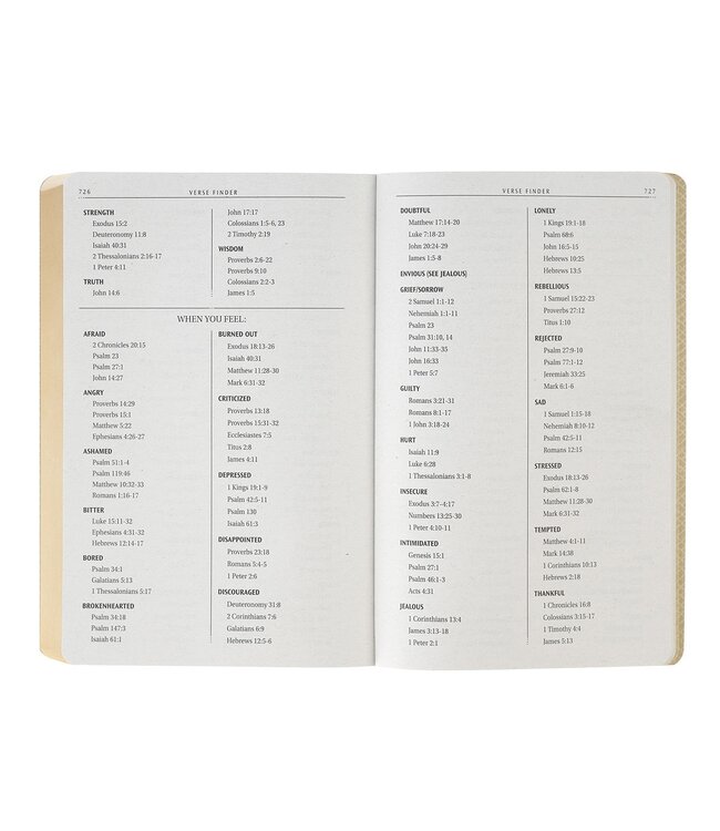 Chestnut Brown Faux Leather King James Version Gift Bible