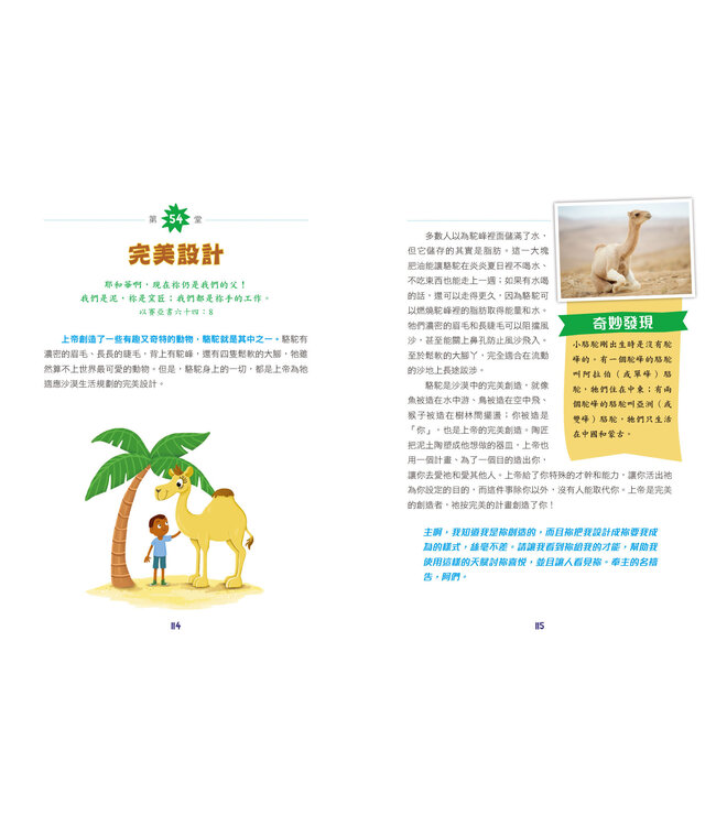 上帝的100堂奇妙自然課 | Indescribable: 100 Devotions for Kids About God and Science