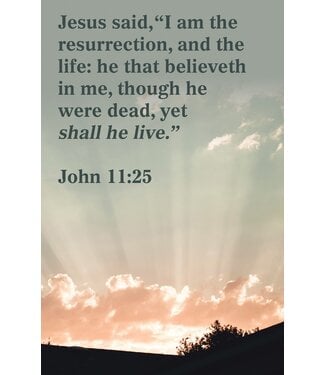 B&H Publishing Group Funeral Bulletin: The Life (Package of 100): John 11:25 (KJV) | 喪禮列序單（100張）